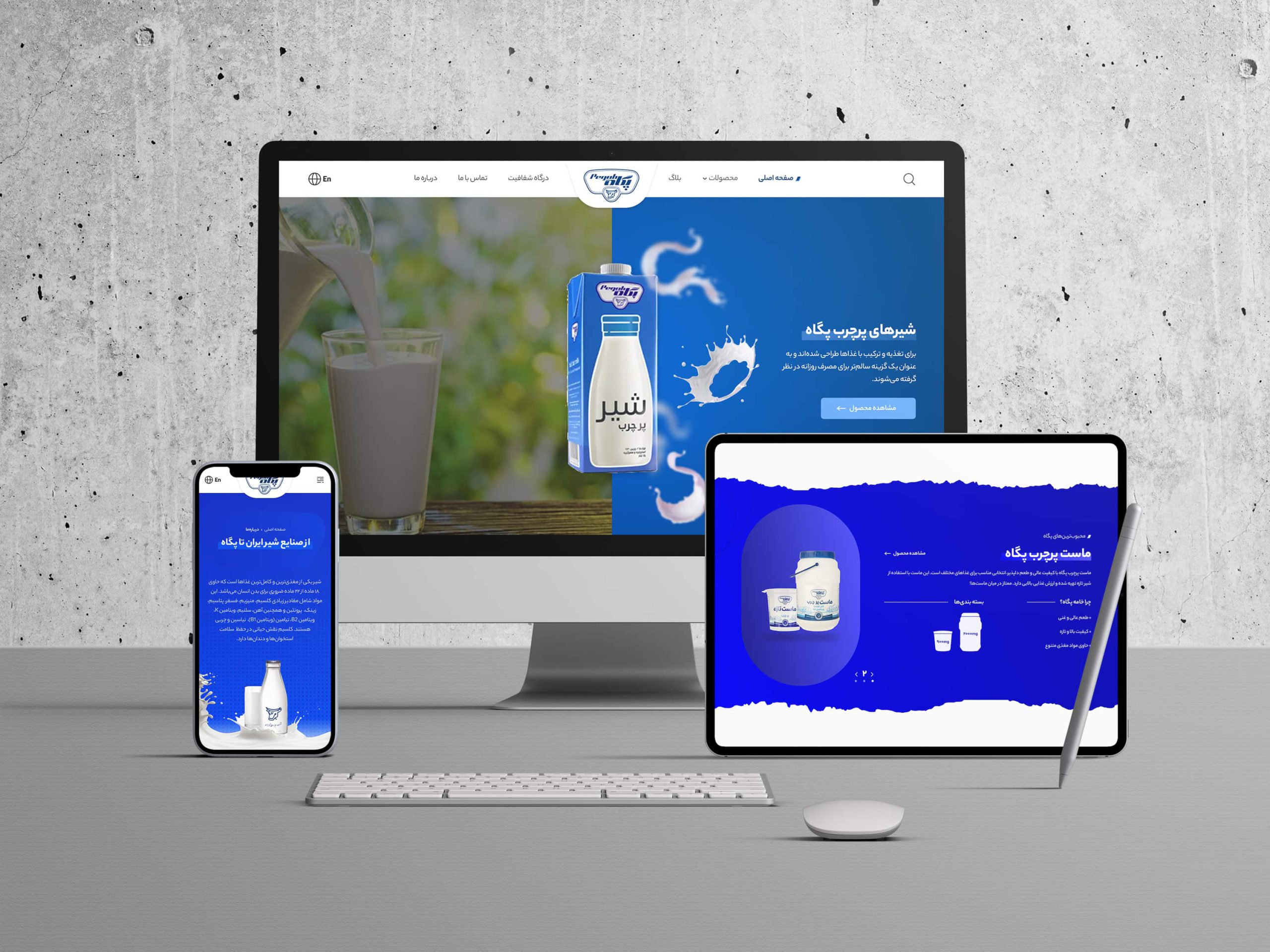 پروژه طراحی سایت شرکتی پگاه